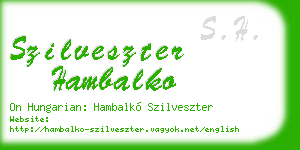 szilveszter hambalko business card
