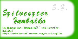 szilveszter hambalko business card